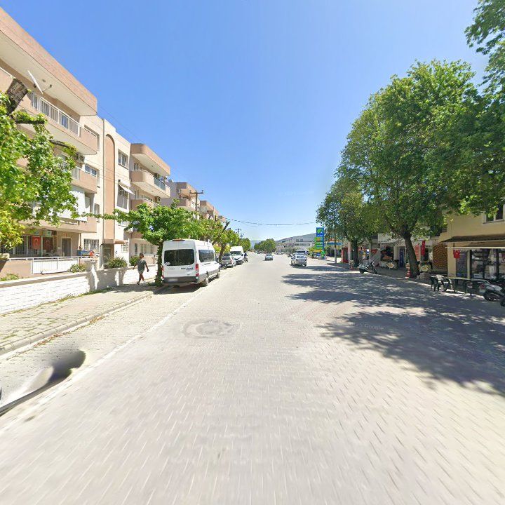 Fotoğraf 9