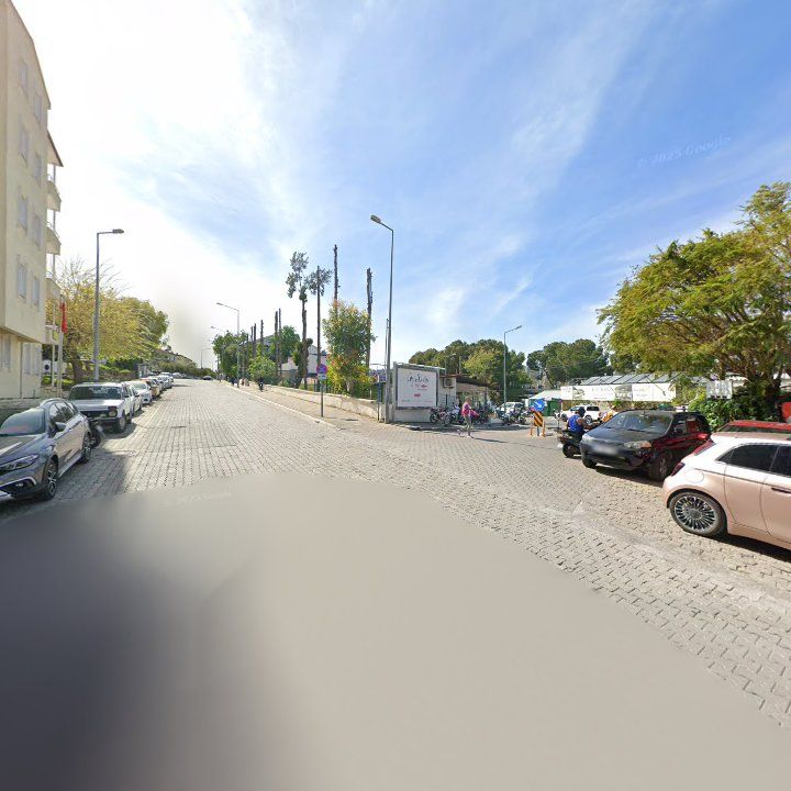 Fotoğraf 11