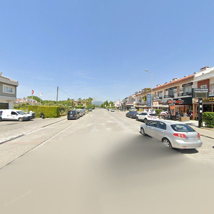Fotoğraf 10