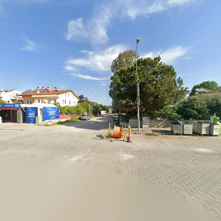 Fotoğraf 15