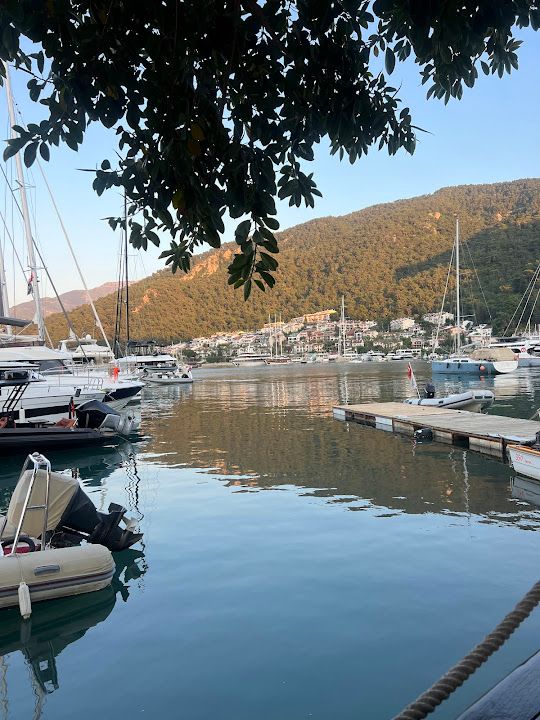 Fotoğraf 6