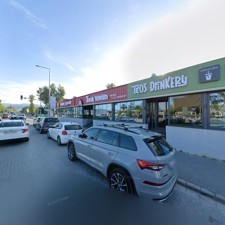 Fotoğraf 11