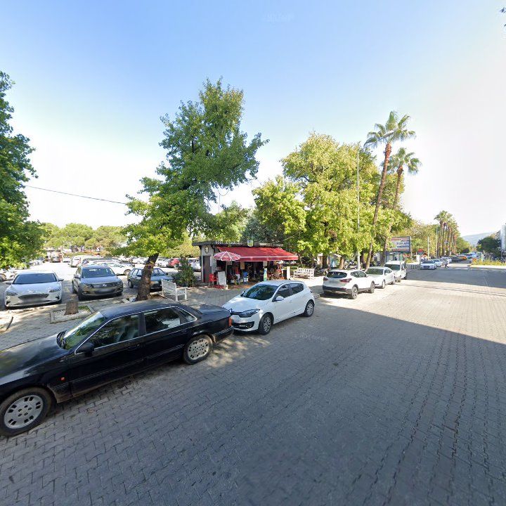 Fotoğraf 10