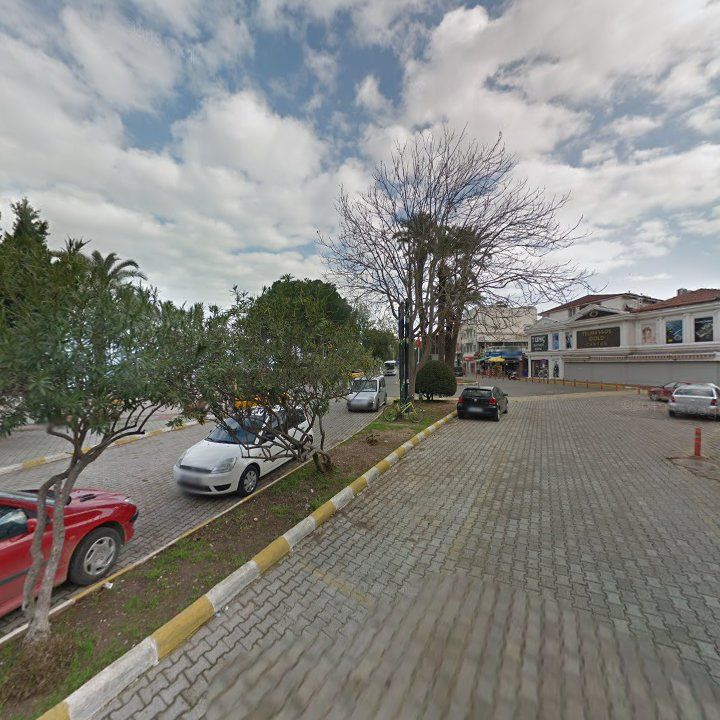 Fotoğraf 8