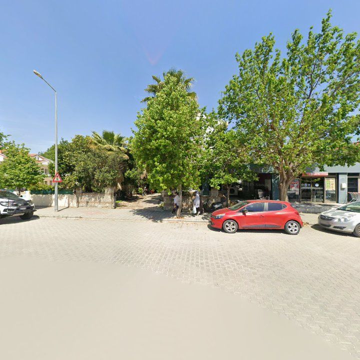 Fotoğraf 12