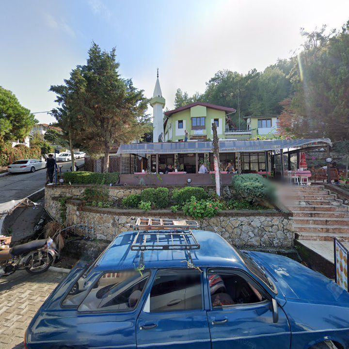 Fotoğraf 7