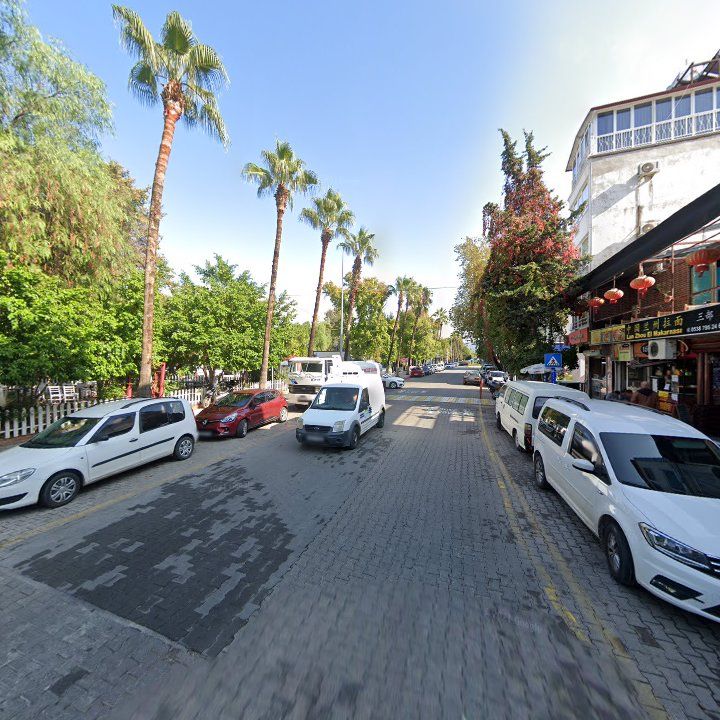 Fotoğraf 12