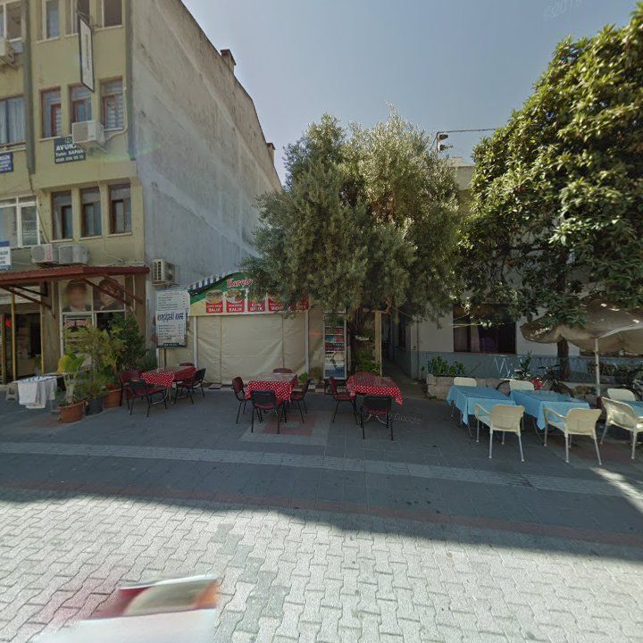 Fotoğraf 11