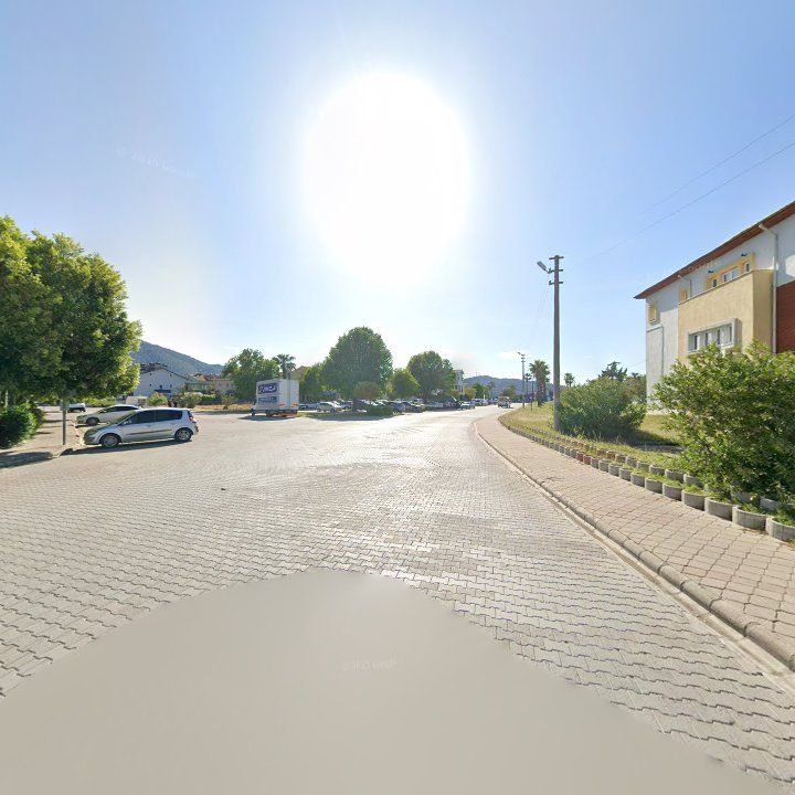 Fotoğraf 11