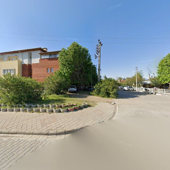 Fotoğraf 12