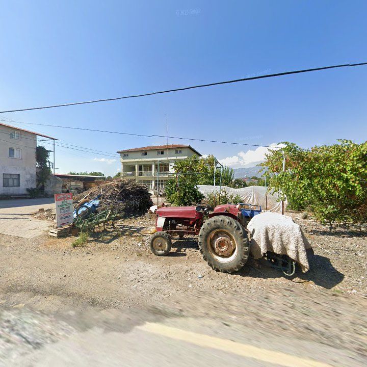 Fotoğraf 8