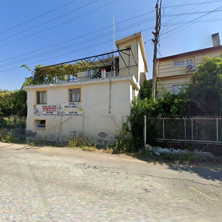 Fotoğraf 10