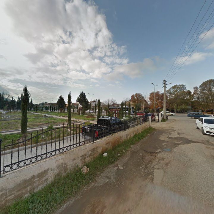 Fotoğraf 11