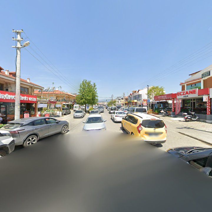 Fotoğraf 11