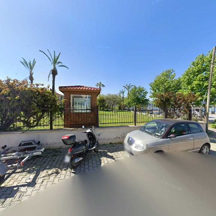 Fotoğraf 11