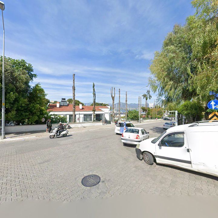 Fotoğraf 10