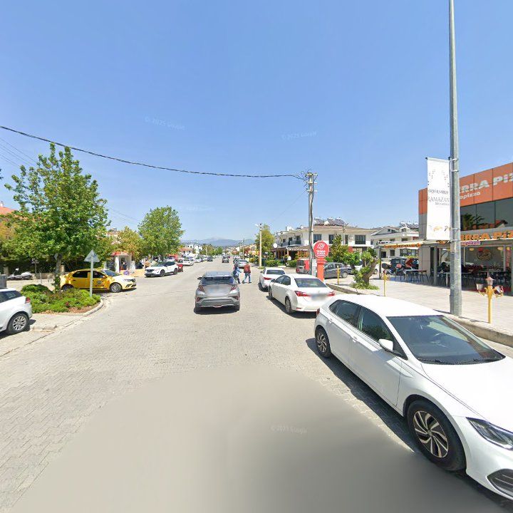 Fotoğraf 9