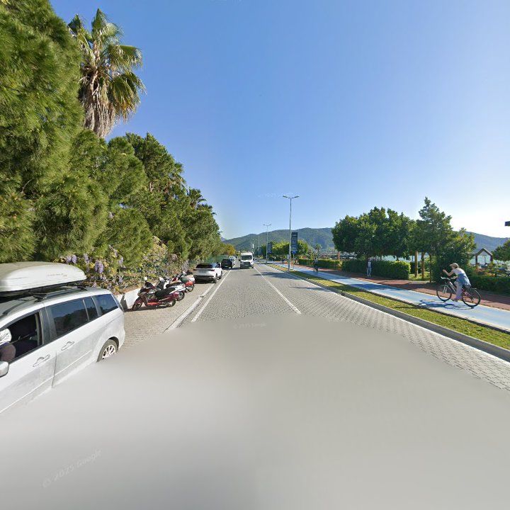 Fotoğraf 15