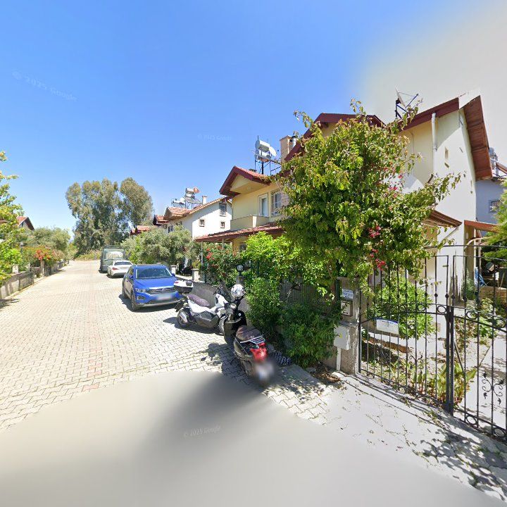 Fotoğraf 11