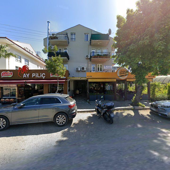 Fotoğraf 10