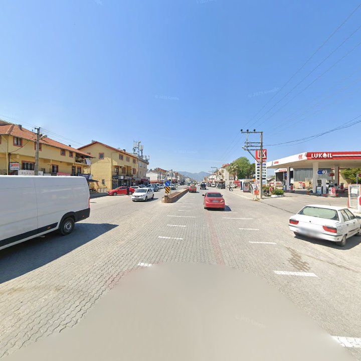 Fotoğraf 8