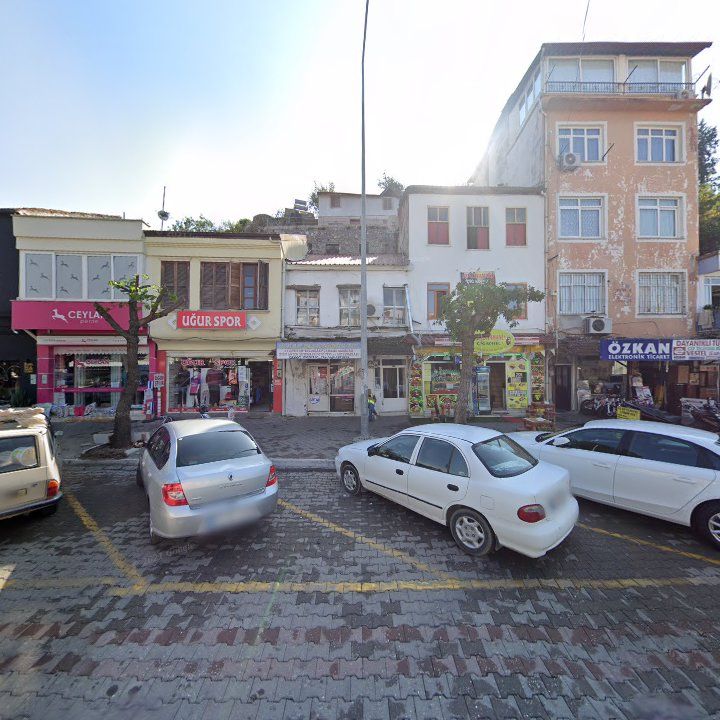 Fotoğraf 6