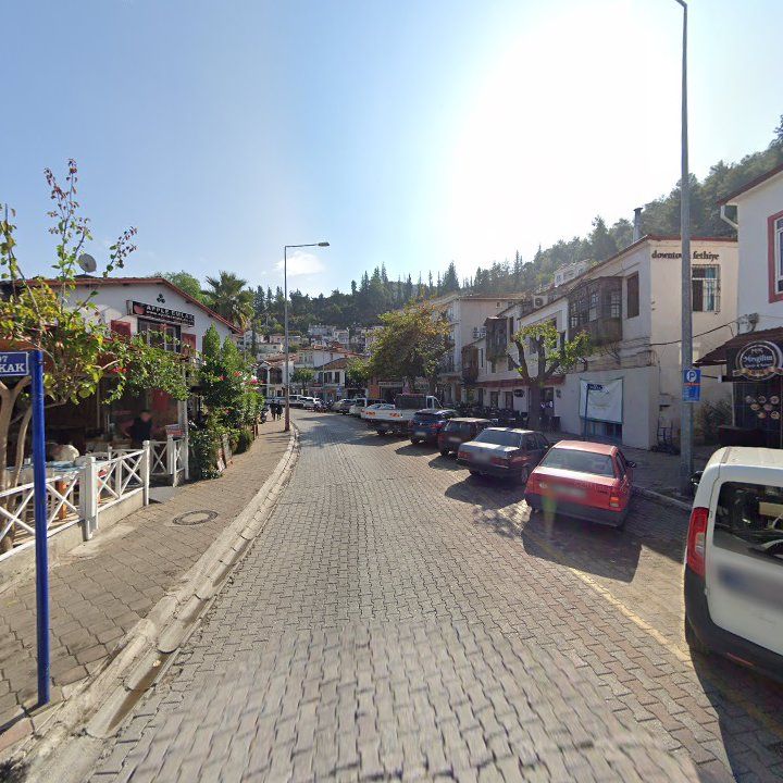 Fotoğraf 9