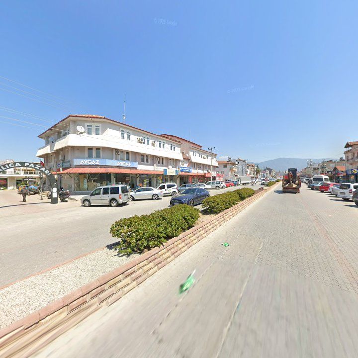 Fotoğraf 8
