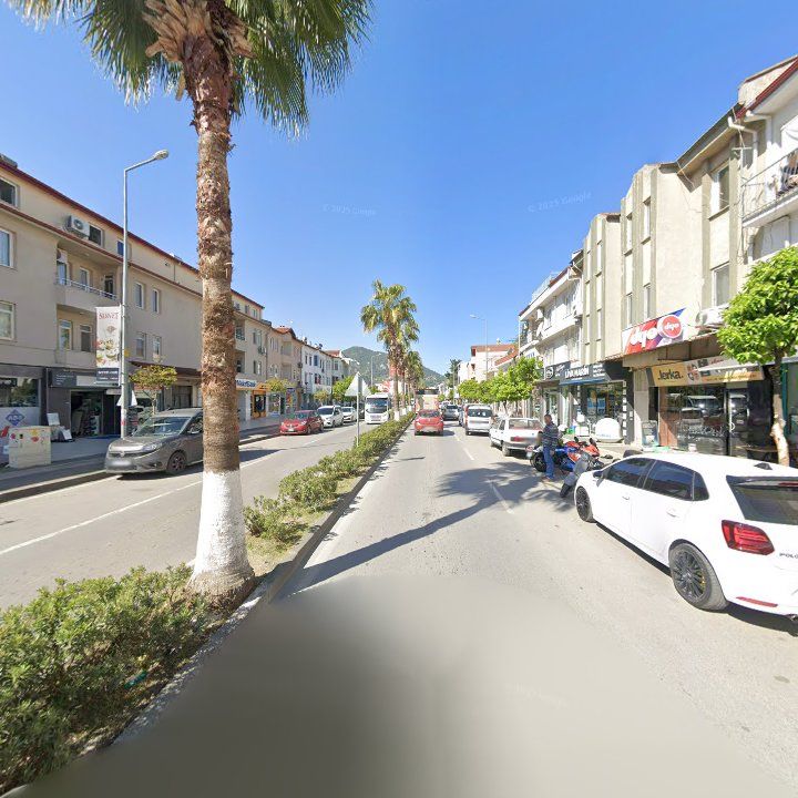 Fotoğraf 13