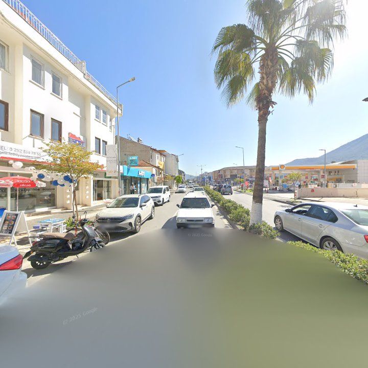 Fotoğraf 11