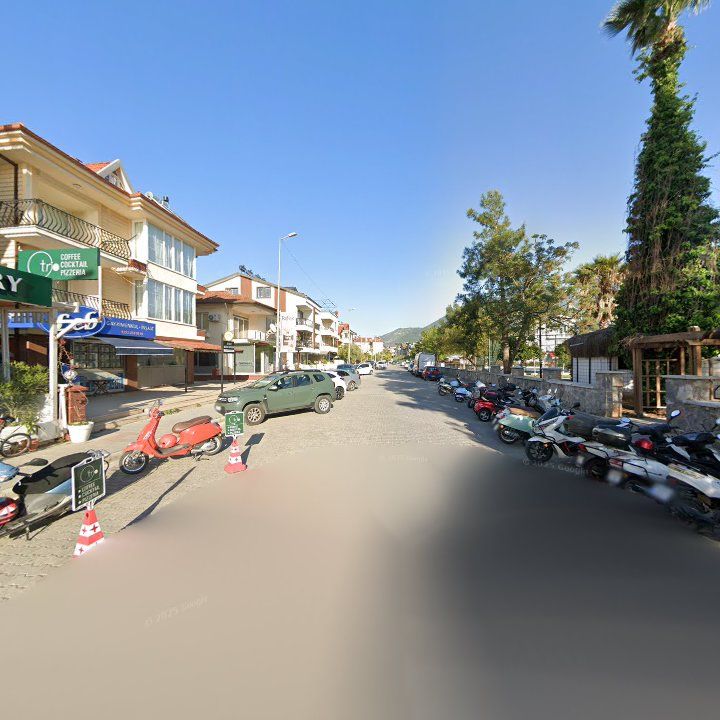 Fotoğraf 12