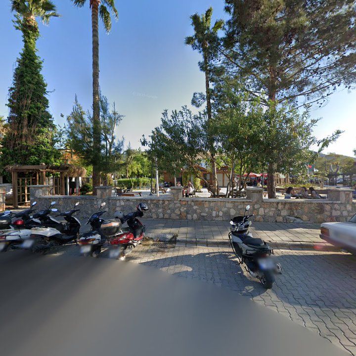 Fotoğraf 13