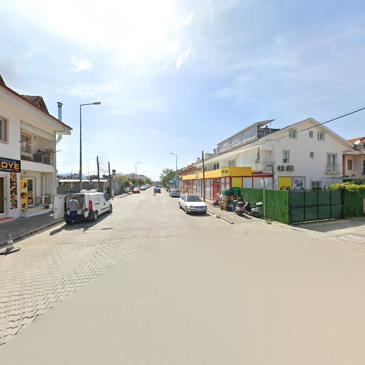 Fotoğraf 7