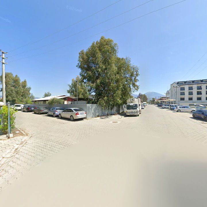 Fotoğraf 12
