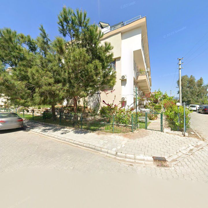Fotoğraf 11