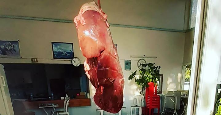 Fotoğraf 12