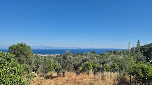 Fotoğraf 12