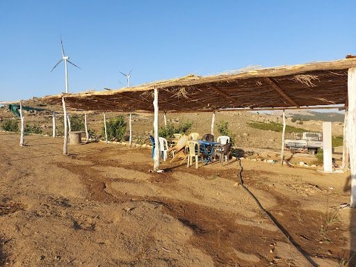 Fotoğraf 15
