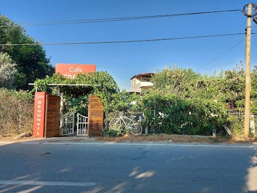 Fotoğraf 25