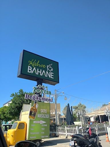 Fotoğraf 11