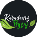 feyzullah say