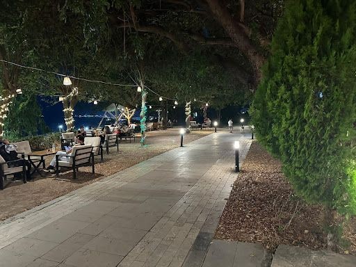 Fotoğraf 11