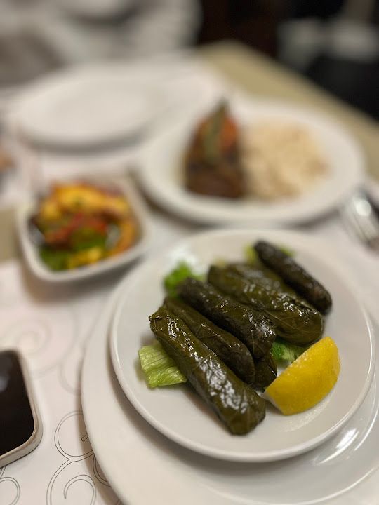 Fotoğraf 45