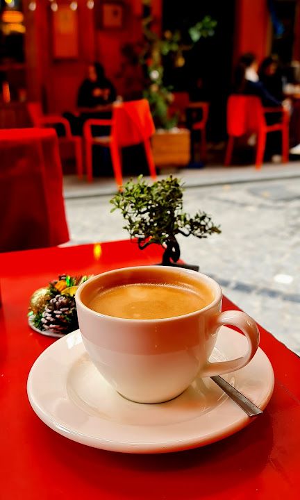 Fotoğraf 16