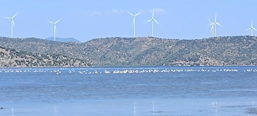 Fotoğraf 20