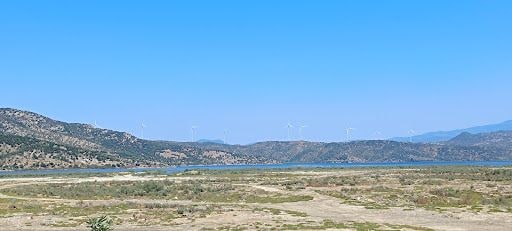 Fotoğraf 21