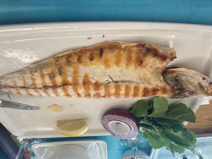 Fotoğraf 63