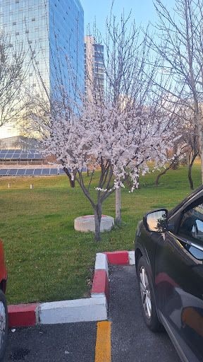 Fotoğraf 14