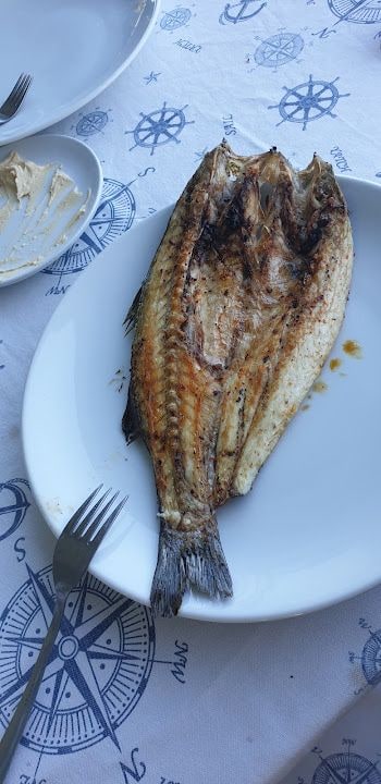 Fotoğraf 14