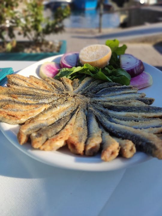 Fotoğraf 44